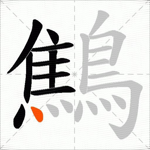 鷦