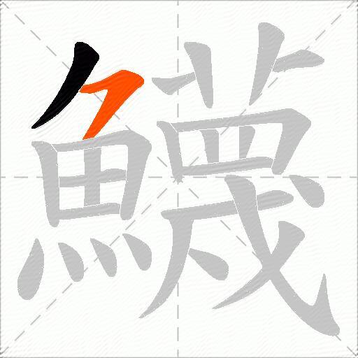 鱴