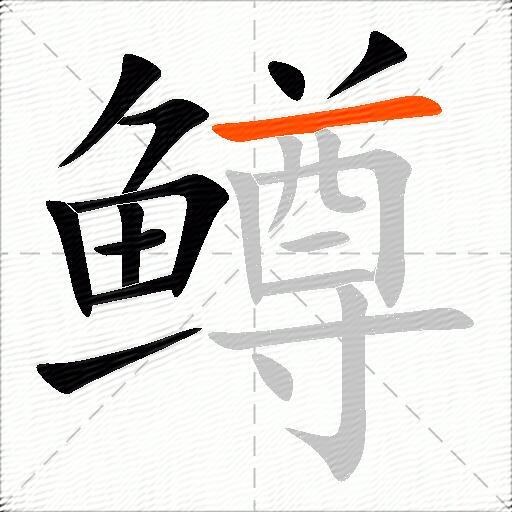 鳟
