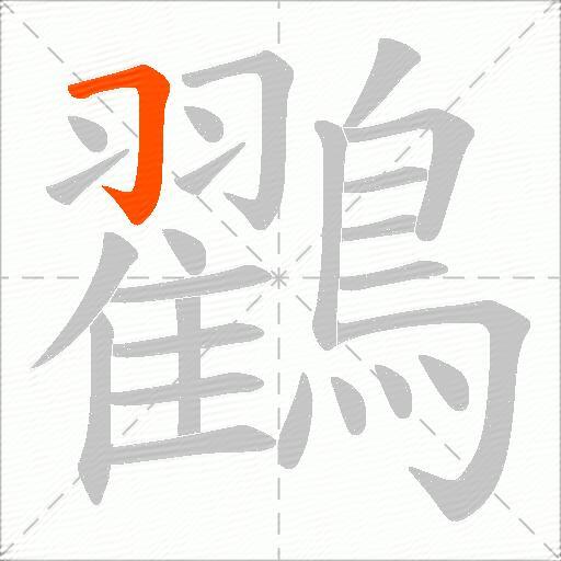 鸐