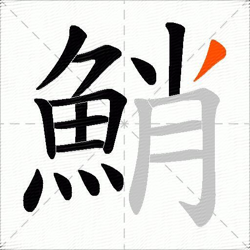 鮹