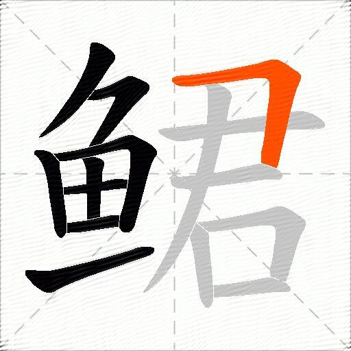 鲪