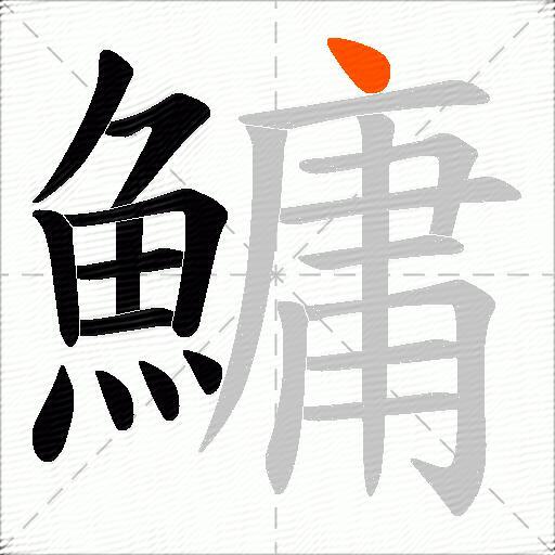 鱅