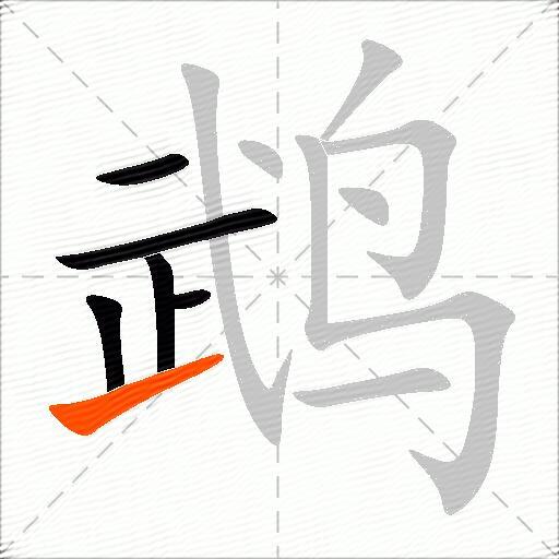 鹉