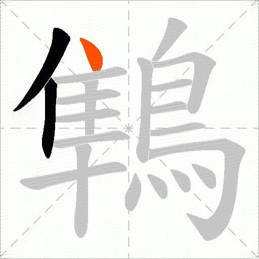 鶽