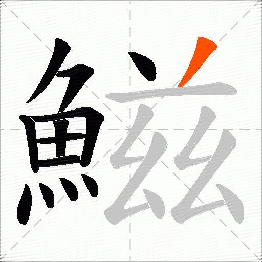 鰦