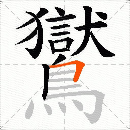 鸑