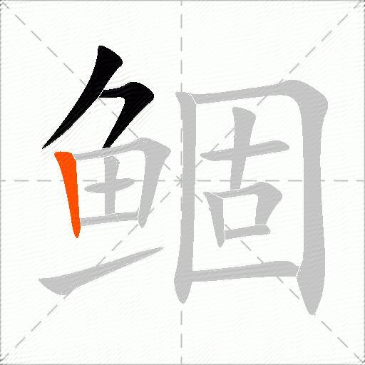 鲴