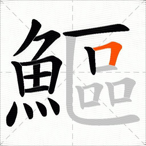 鰸