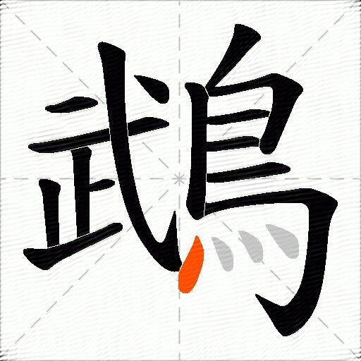 鵡
