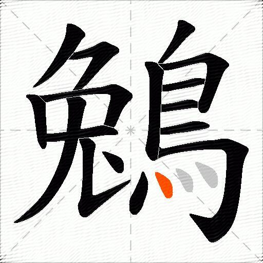 鵵