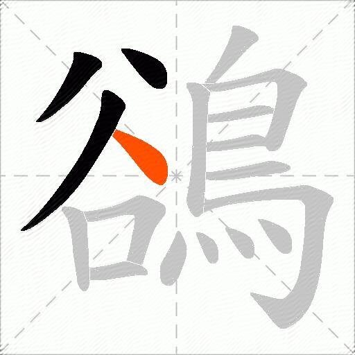 鵒