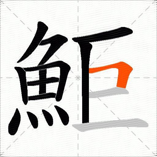 鮔