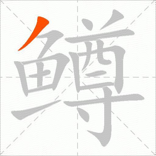 鳟
