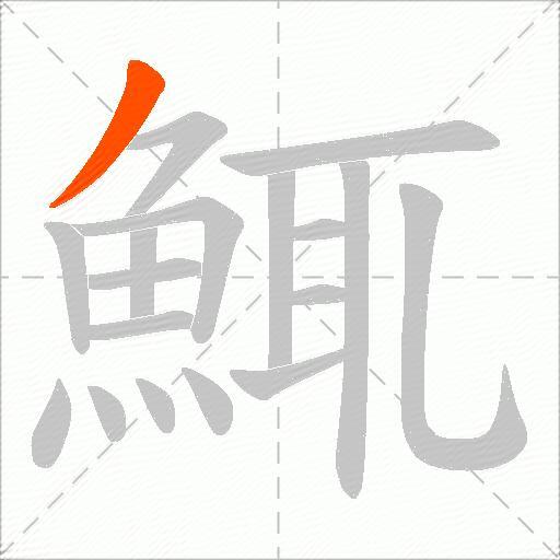 鮿