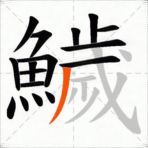 鱥