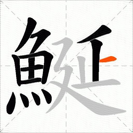 鯅