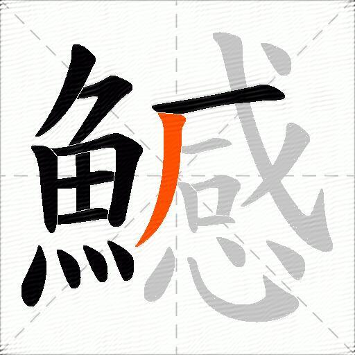 鱤