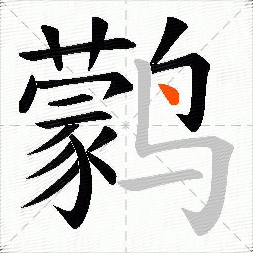 鹲