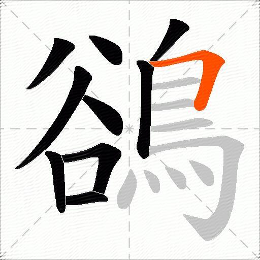 鵒