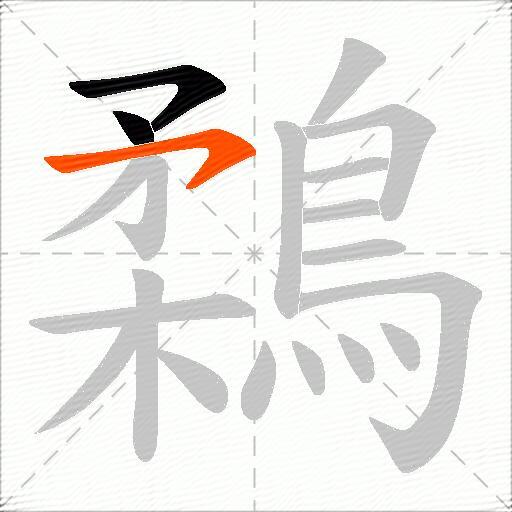 鶔
