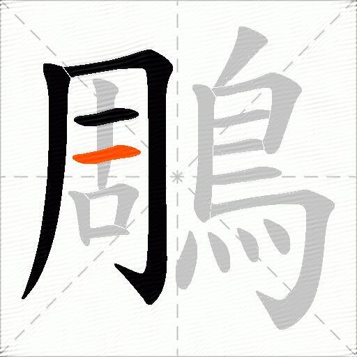 鵰