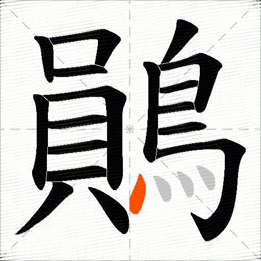 鶰
