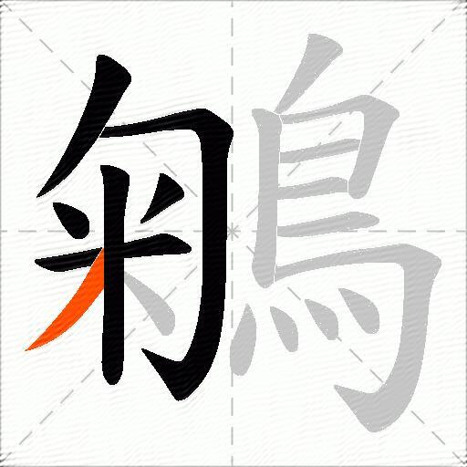 鵴