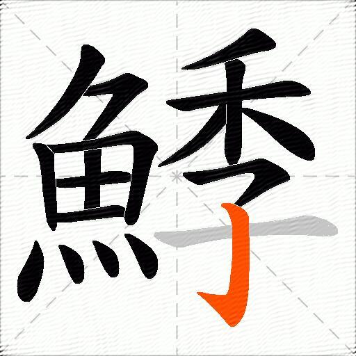 鯚