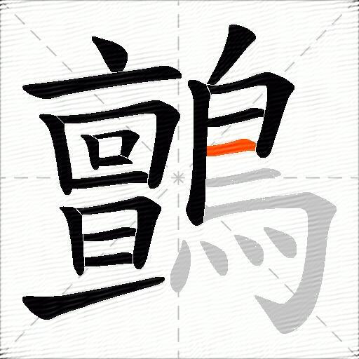 鸇