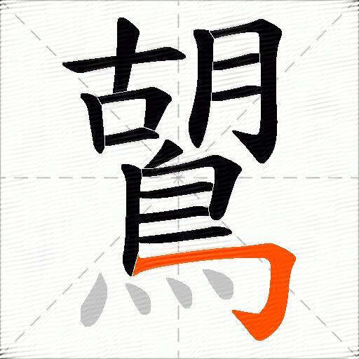 鶦