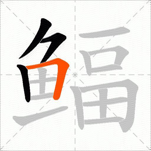 鲾