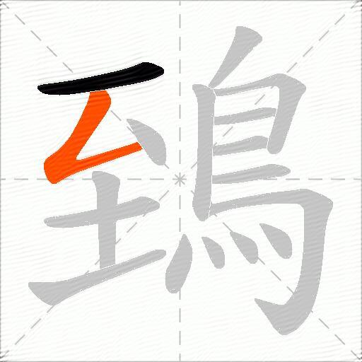鵄