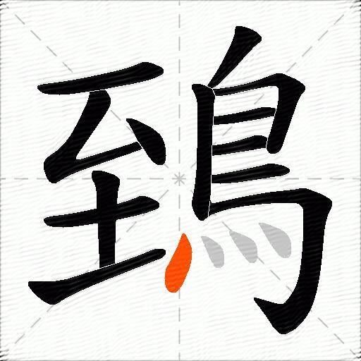 鵄