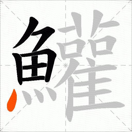 鱹