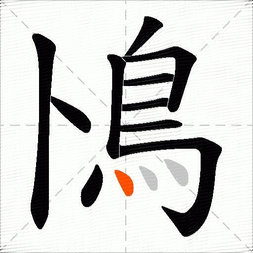 鳪