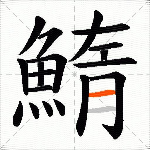 鰖