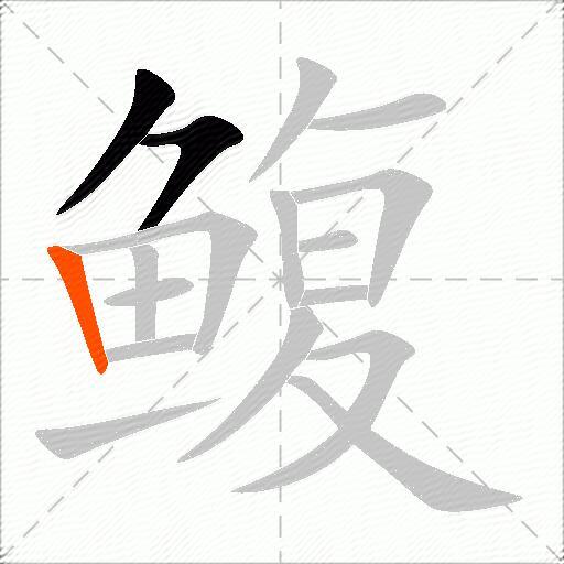 鳆