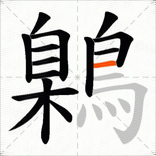 鷍