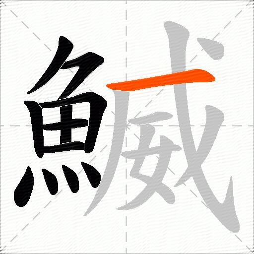 鰄