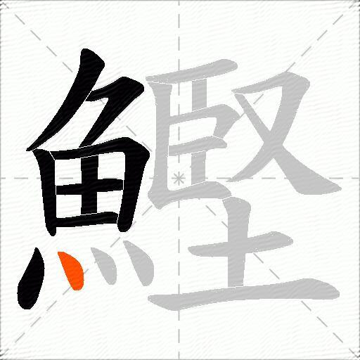 鰹