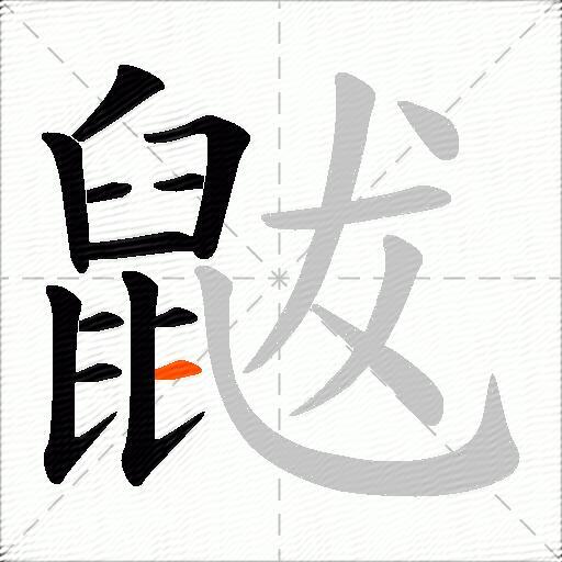 鼥