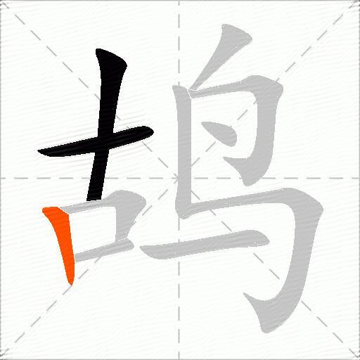 鸪