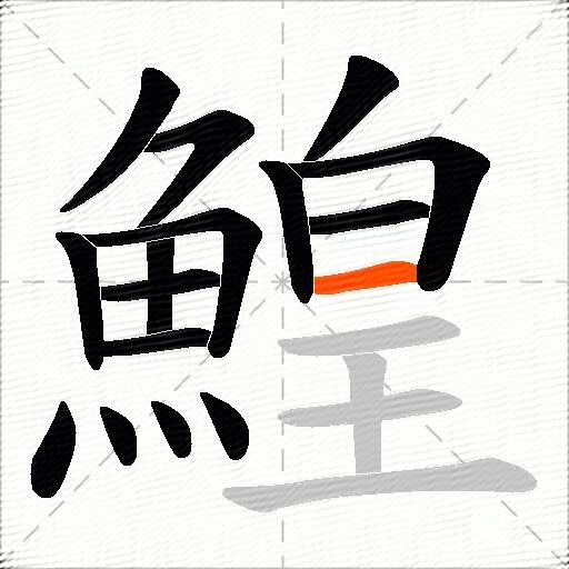 鰉
