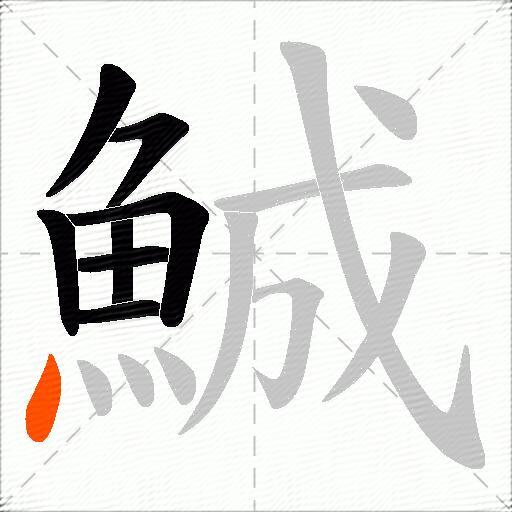 鯎