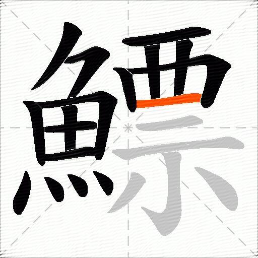 鰾