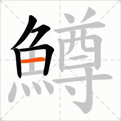 鱒
