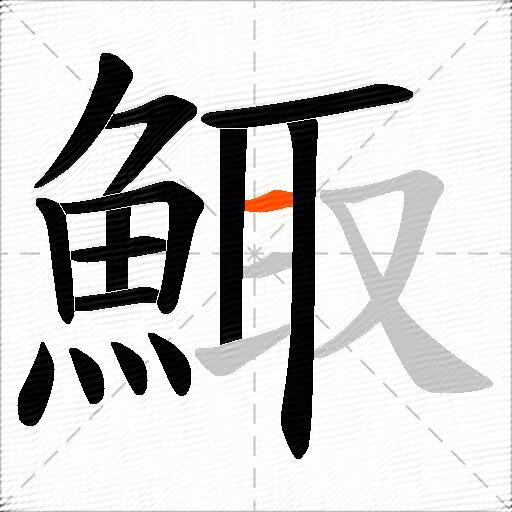 鯫