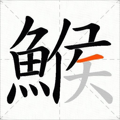 鯸