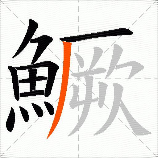鱖